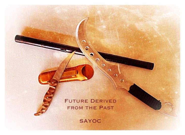 1377985_426037520833400_1914632220_n